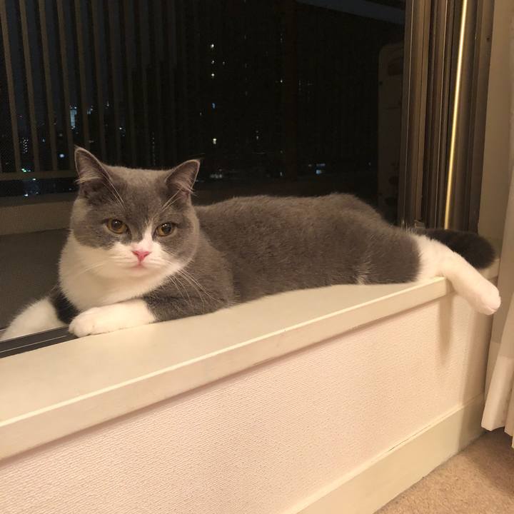 73adf6fd 3d2b 4c34 bf67 6f3762d576b8 1539267726536