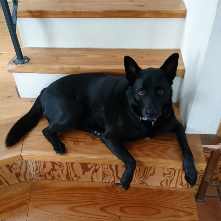 73ae0d69 34b0 4e1e af2d f1cdeda3c879 1556341326811