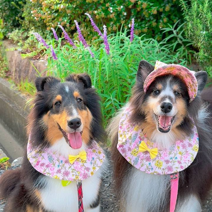 73ae2309 af2b 4784 b65c f75b1c65102b 1758125289379