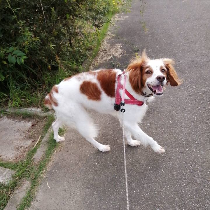 73ae398a e3cc 4c6f 9f19 86389881aeac 1632570869640