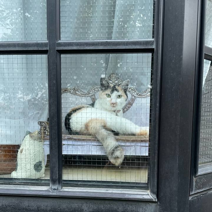 73ae4213 e68c 4eef b6e6 e7d0251c99b2 1751882405623