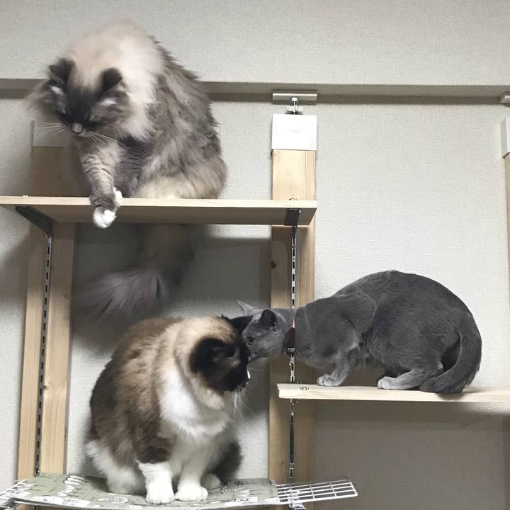 73ae8af0 5a56 4ccc 99d1 700ea1565647 1526136090096