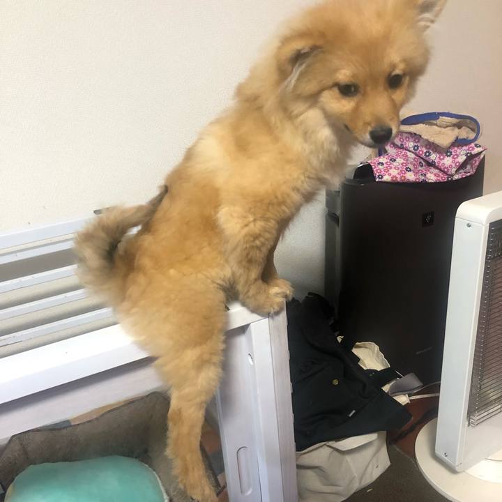 73aee13f 54a0 4afe a599 1cb14c610de7 1579920004916