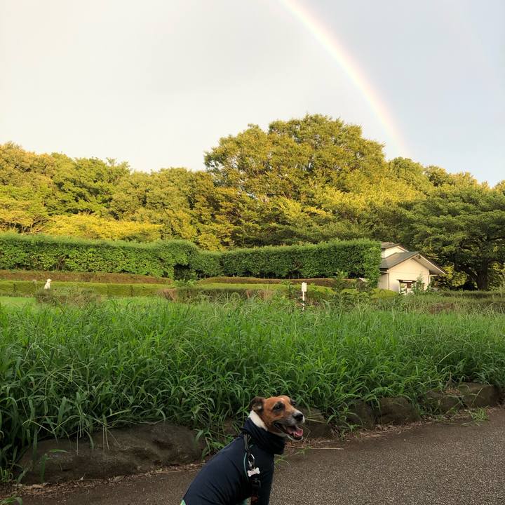 73afa350 005c 4acf b3ef cb3fd33c286f 1567119038658