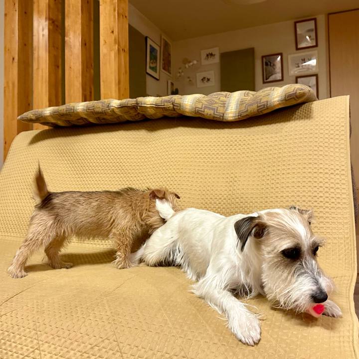 73afa934 cdc3 49cb babd 0ec36af9b4ce 1703430574684