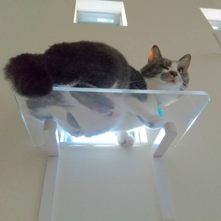 73afec08 fe06 4e38 82dd 703ffe42471e 1651310287015