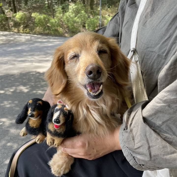 73b00c5a e971 4655 954d c1faa201cc54 1713160079136