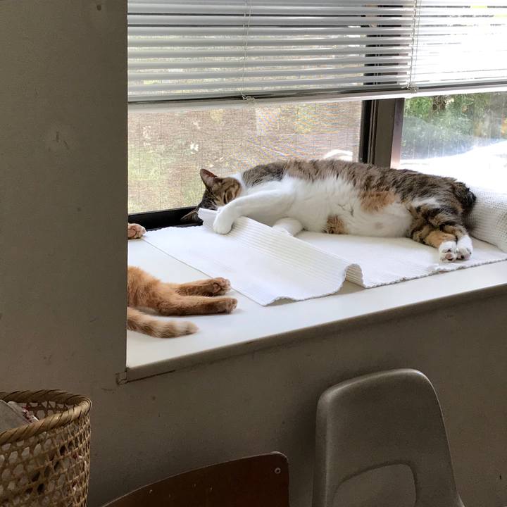 73b01eb5 e388 4df4 9f86 7d57d25e3e1e 1564892100407