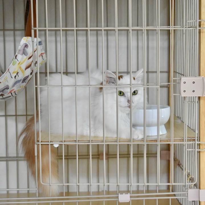 73b0401b 4df0 4b42 8d1c 7232ea8895d8 1759462702429