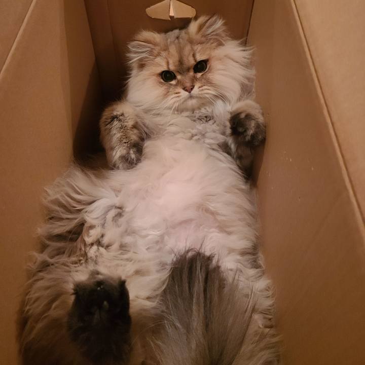 73b0b06c 9ac8 4fd4 8f87 7076fbcf6400 1678234620767