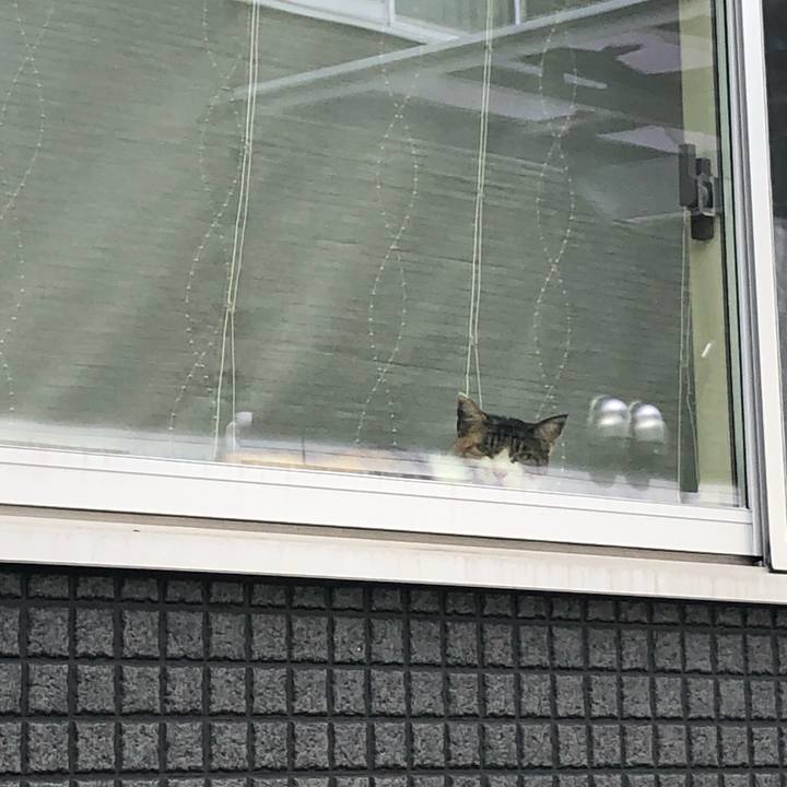 73b0c525 dc0a 427e ad3f bdb9055ef48b 1594647184474