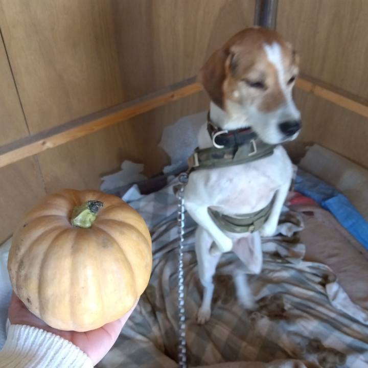 73b0ffff 254d 4f84 829c 6211b901136a 1696567232894