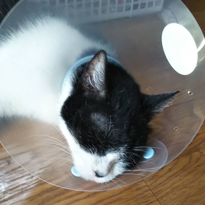 73b10d43 83c8 4895 bb8f cffcb8ee2ec9 1600856558205