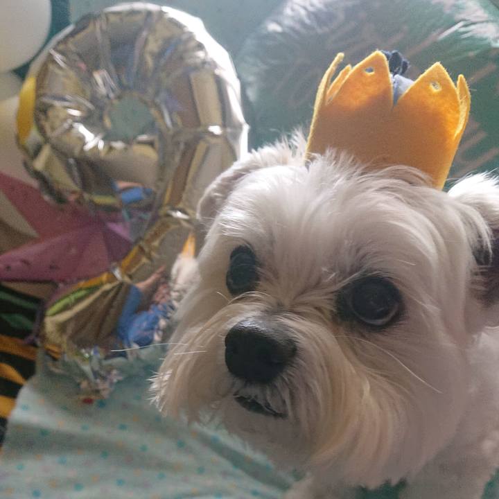 73b1264d 3022 4eb1 b9bd bed9d3aa0358 1679624791100