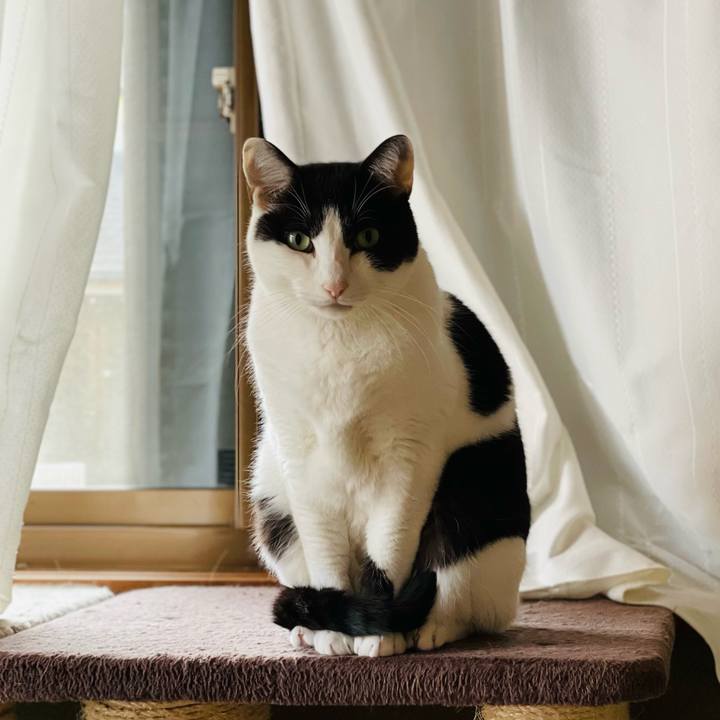 73b1398d b560 4562 bb12 60c7ca290210 1642125329896