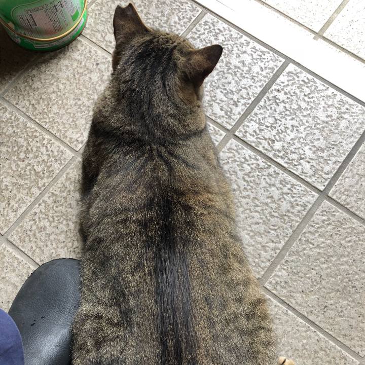 73b14f54 e8c9 4321 b66a b30431668ce5 1532145339189