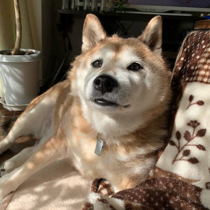 73b157bc ecac 4357 a822 d9fbb19acbb1 1583906251222