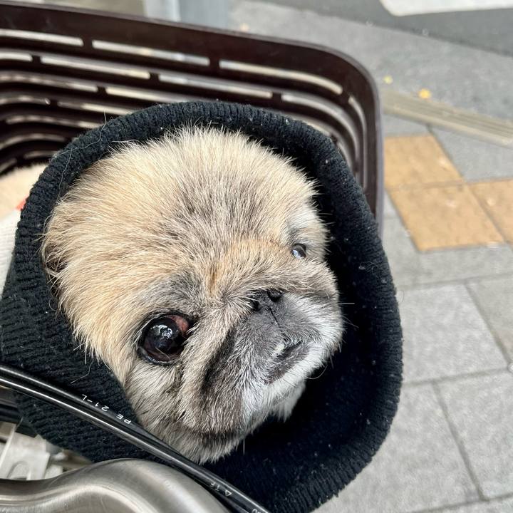 73b179c0 662f 4caf 8e3d ec1e058d7b85 1734580846163