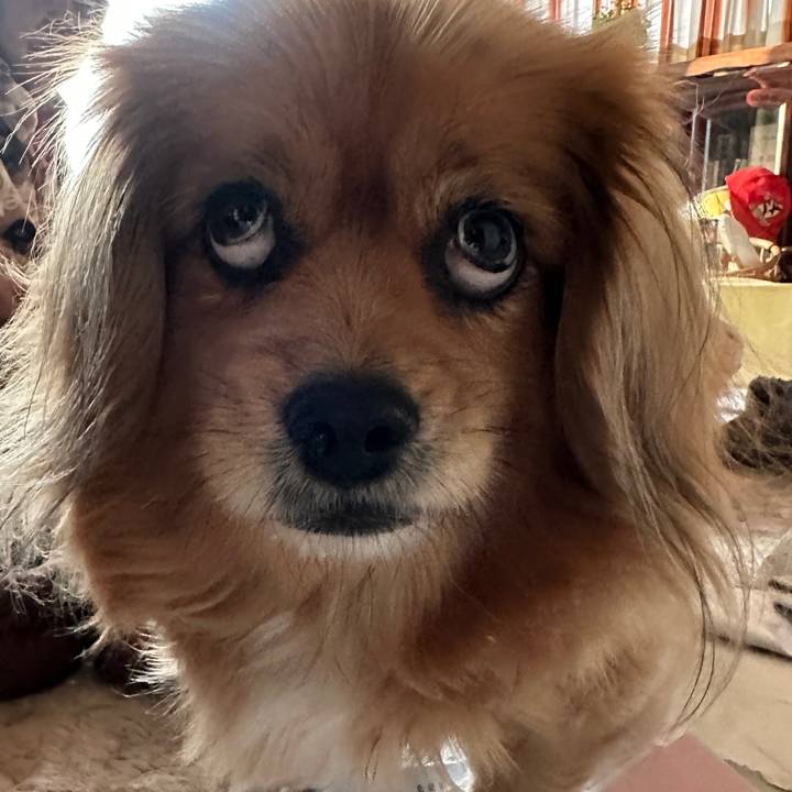 73b1814f 1663 449e bc77 cb65bca18288 1678227465245