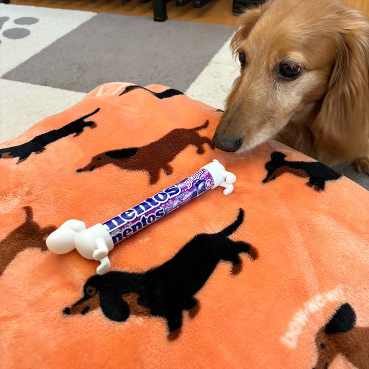 73b18267 76c0 4a0a ae32 24dbaa145a27 1722081691175