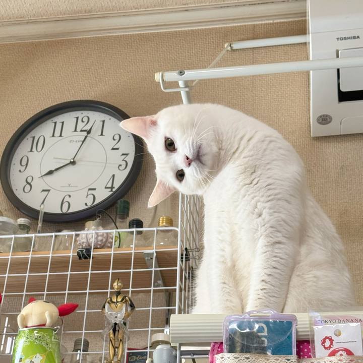 73b1d97b 61a7 49e3 bbb0 f21ea24d46d6 1740438433717