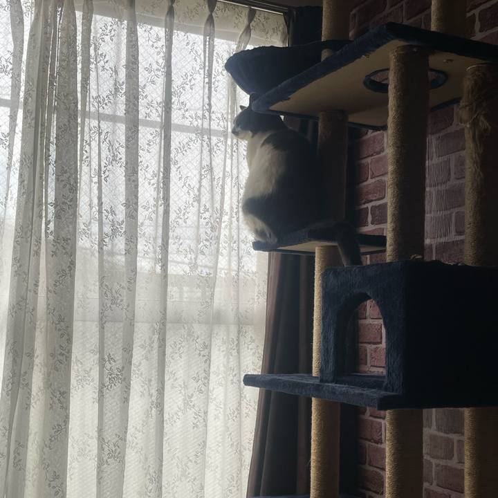 73b1ef61 f4bd 443b 9bac 8ec7c03e78d1 1737941958723