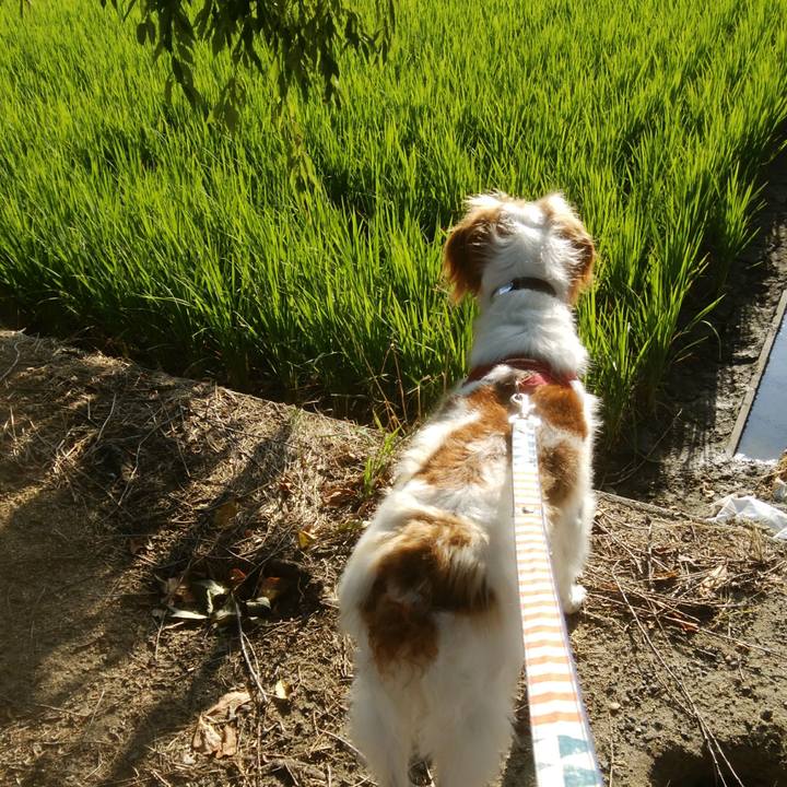 73b25f0d f6bc 4077 a926 7360cfca2ce6 1533340347529