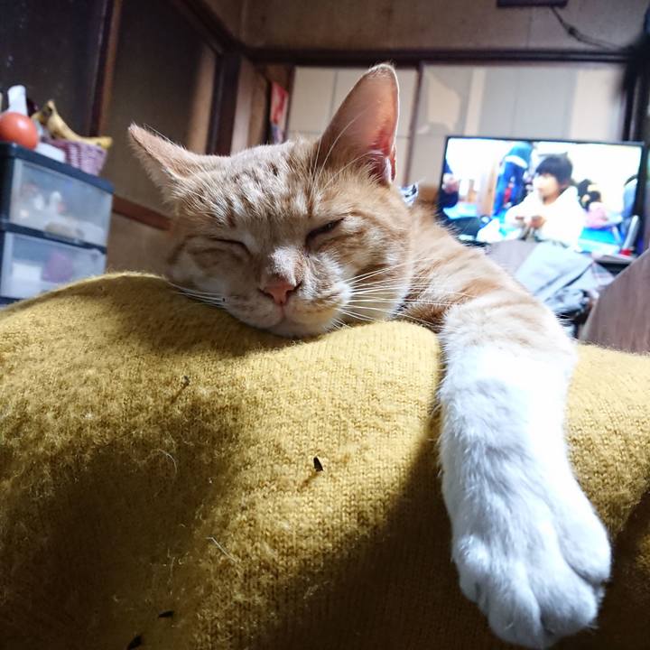 73b270c1 1fe1 4d13 a2fc 454bf5873404 1573296471240