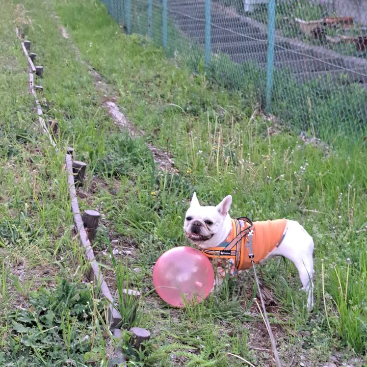 73b27b80 1464 400c b385 2f4b1f874613 1713260110845