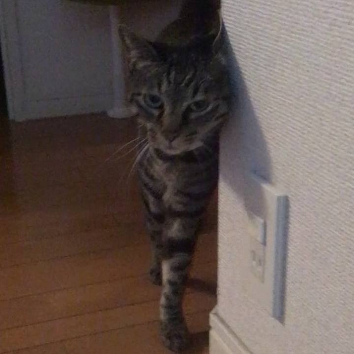 73b28e7b c7c6 4363 916f 8922d2e01842 1587547251784