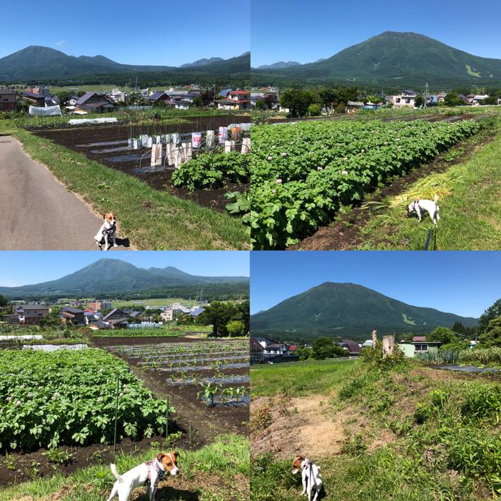 73b29fde 340a 435b ba41 426468b4c252 1528952845320