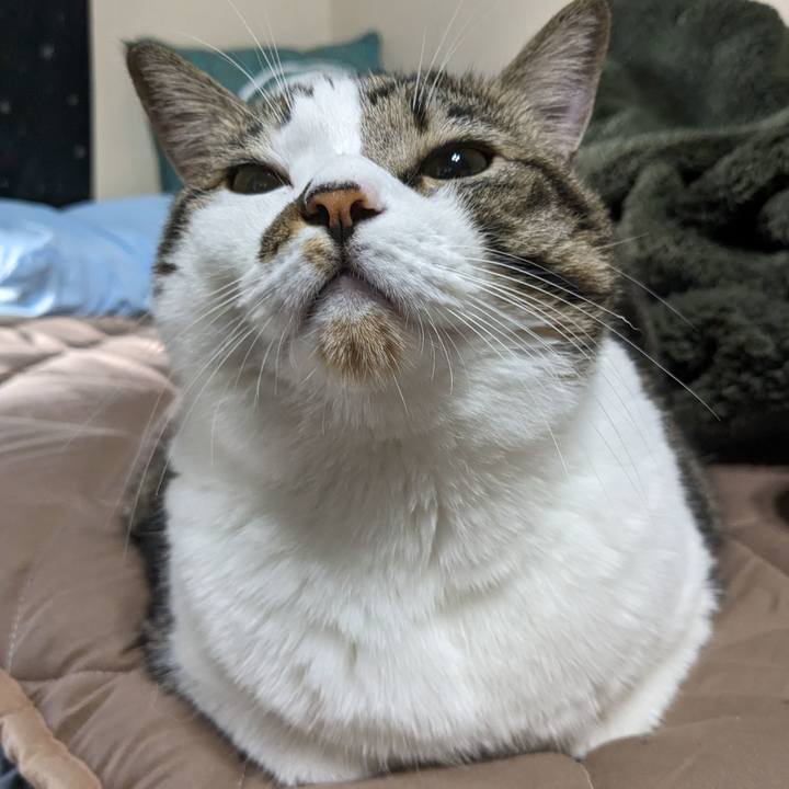 73b2c0f3 f49a 4536 8aba 7893c68a023e 1697754136742