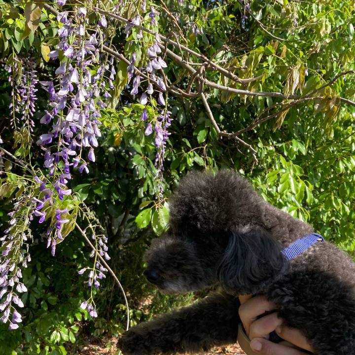 73b2ca91 23cb 4545 afc6 2146d3454ffc 1620307175798