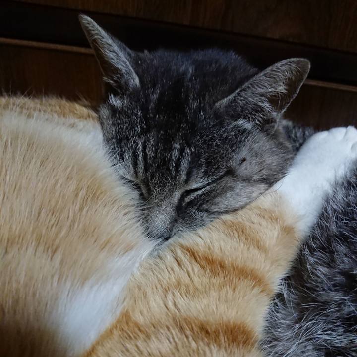 73b2d372 955b 4419 b34f 4c25725676e7 1577888700363