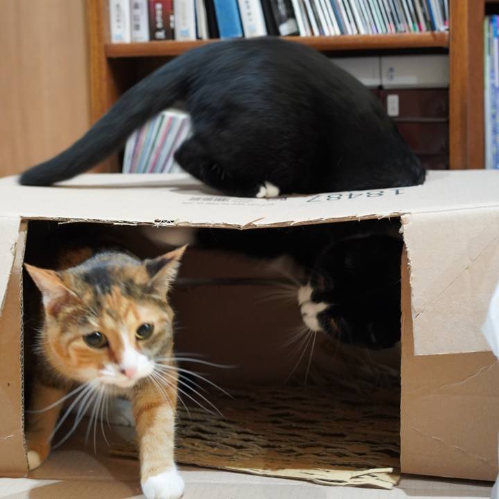 73b30ddb 760e 4a41 bbef 423f43cf6eaa 1623674279605