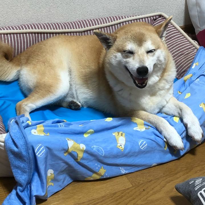 73b37459 db0b 4f2b 865a 5f7d60a961c8 1594562947371