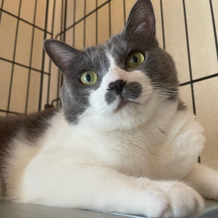 73b3881b e46c 4da6 96fe 764a29aeae1c 1758929769033