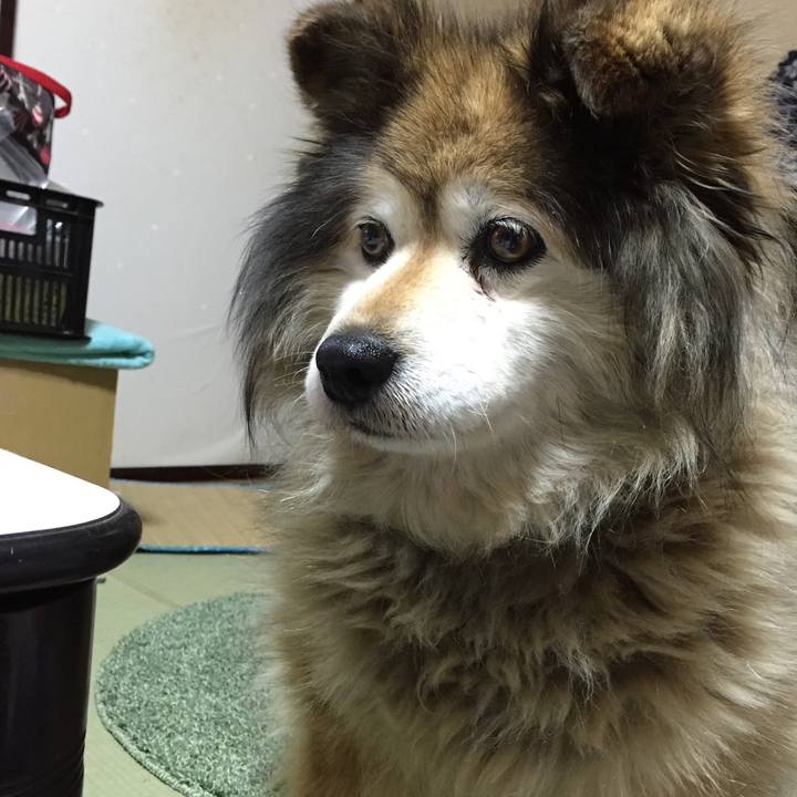 73b3b034 5ef8 44dd 8104 010ad9a7caaa 1661146762523