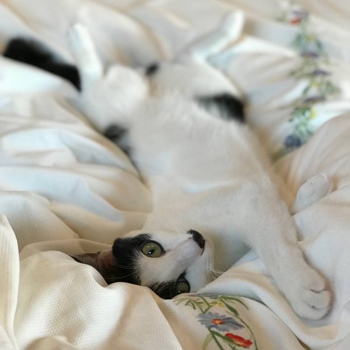 73b3b06d 27e9 4c3e 9614 b6206834b41a 1565053127350