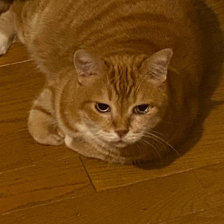 73b3b42c ad34 48da 80bd 26275036a42e 1732274158556