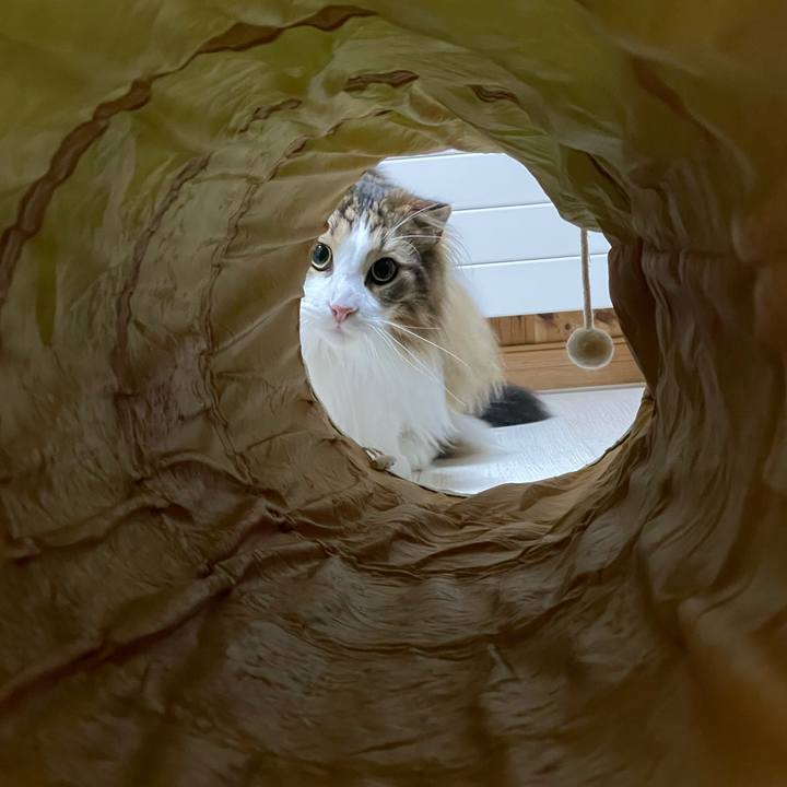 73b3cd9d cbe2 465d 8660 8222fc0e20b4 1682970157336