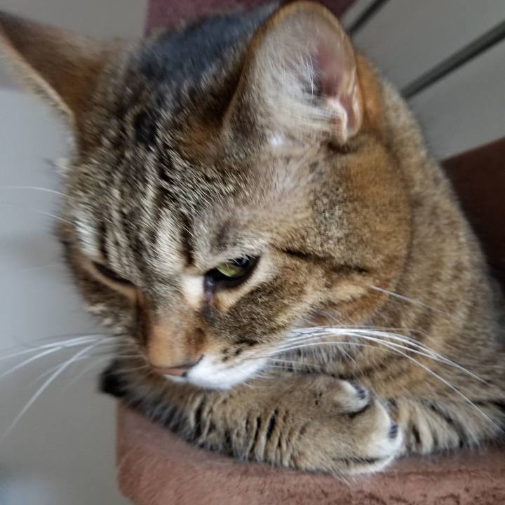 73b3d6d4 76de 4f7d b771 cde1c7ad4ab7 1608586906141