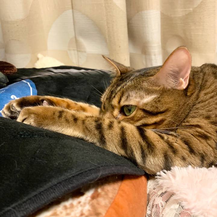 73b3de67 a6b1 4f92 a0de 4f70387ab60d 1603155456472