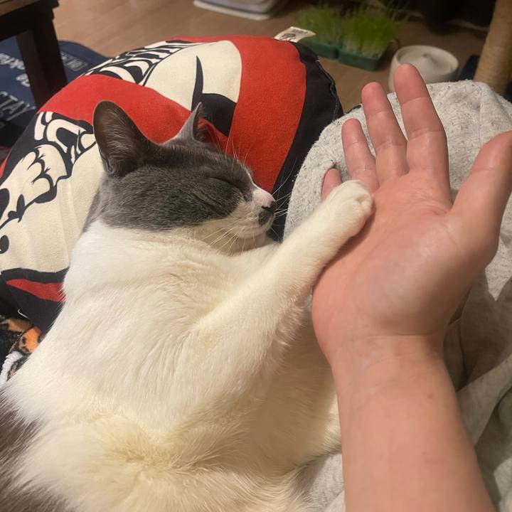 73b402c7 2bd6 4df8 884d 4f47e9908e91 1746789086636