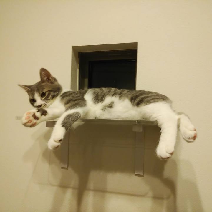 73b42658 dc85 44e6 8241 1a608810a5a9 1567176899845