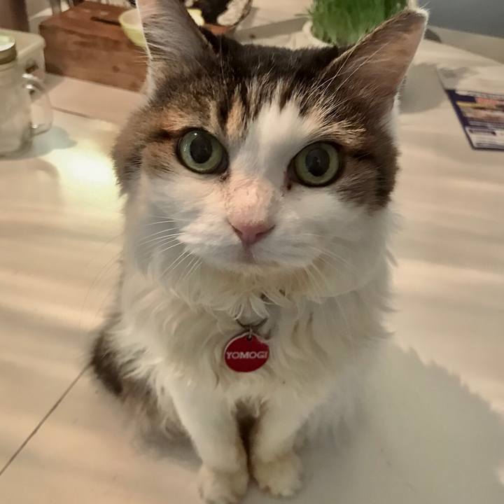 73b42dcf abc8 42ac 90ef 24da5e2a0f57 1603278874322