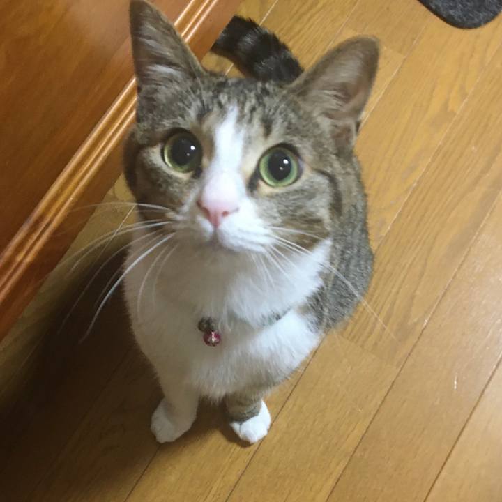 73b4726f 1362 4ac0 9971 109d1306879b 1700519038312