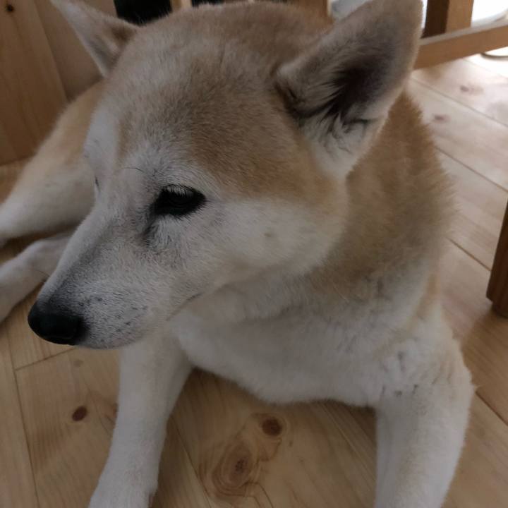 73b50225 3546 48f1 b3ed b282e5262c95 1536326350139