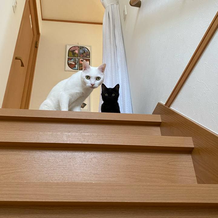 73b5091b 5807 4c03 bb3f 173d89fcd5f0 1640746326833