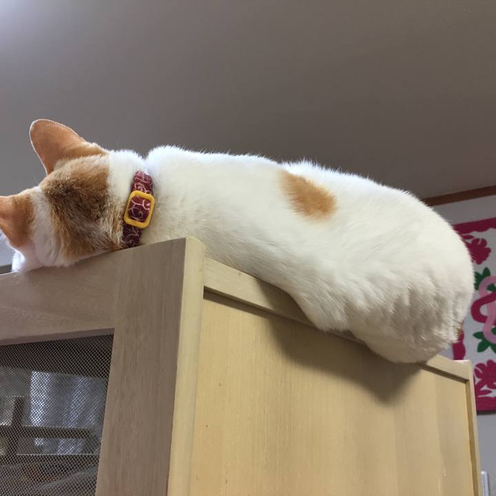 73b55663 ff10 47f9 bada 484653ed21dd 1512041625980